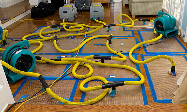 Professional Water Extraction technician working in Ridgeway, OH